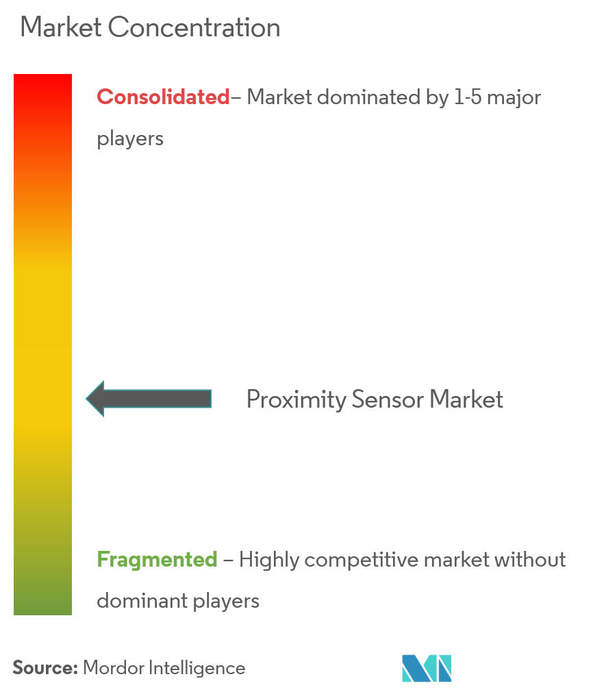 Panasonic Corporation, Riko Opto-electronics Technology Co. Ltd., SICK AG,  ST Microelectronics NV,  Delta Electronics Inc., Autonics Corporation, Datalogic SpA